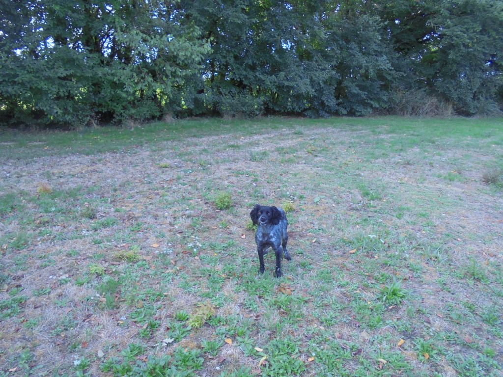 Tanais du clos de memphis